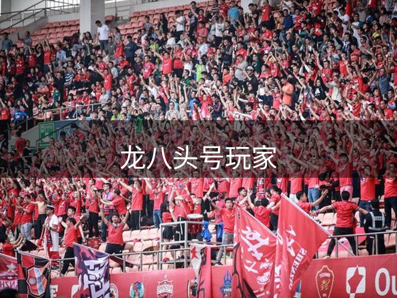 网站介绍